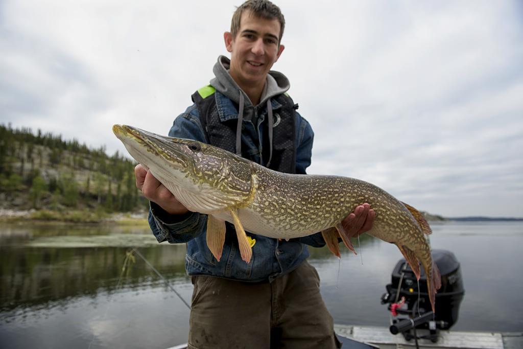 Yellow Dog Lodge, Inc. Yellowknife Luaran gambar